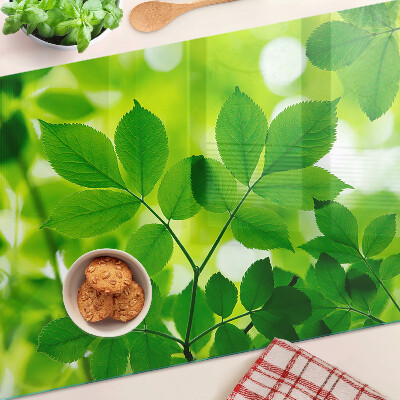 Snijplanken glas Bladeren op een groene achtergrond
