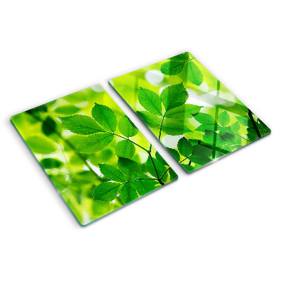 Snijplanken glas Bladeren op een groene achtergrond