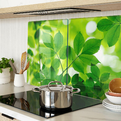 Snijplanken glas Bladeren op een groene achtergrond