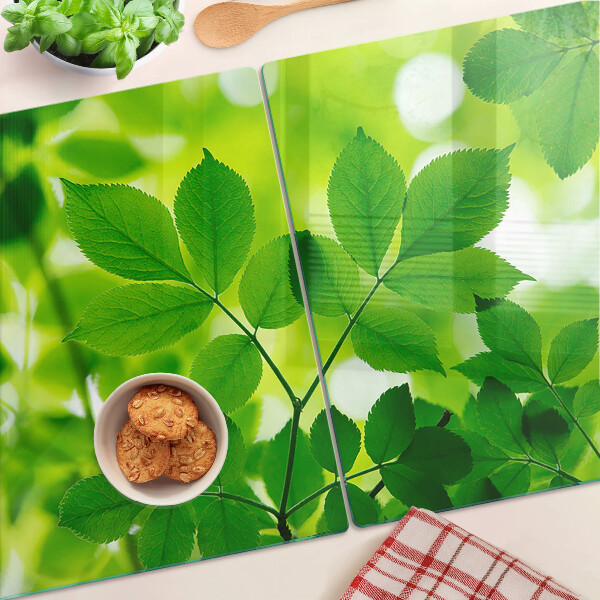 Snijplanken glas Bladeren op een groene achtergrond