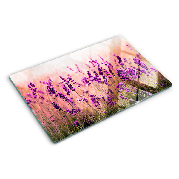 Snijplanken van glas Lavendelveld in de zon