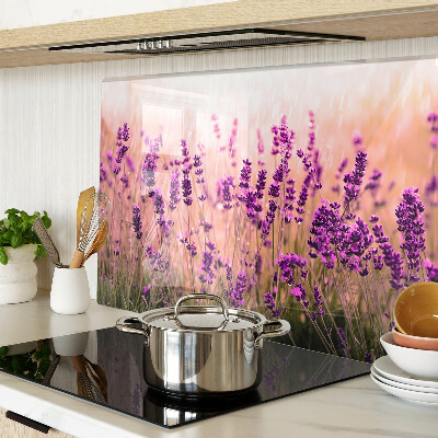 Snijplanken van glas Lavendelveld in de zon