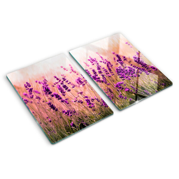 Snijplanken van glas Lavendelveld in de zon