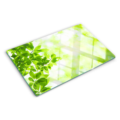 Snijplanken van glas Groene bladeren in het licht