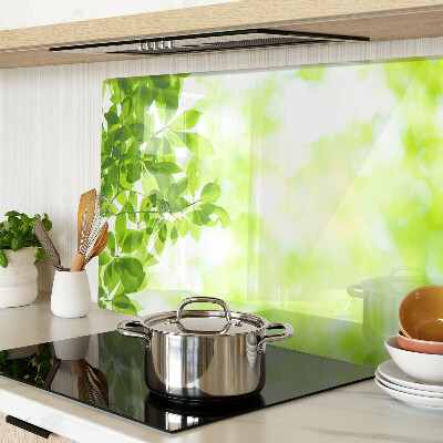 Snijplanken van glas Groene bladeren in het licht