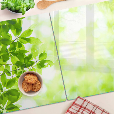 Snijplanken van glas Groene bladeren in het licht