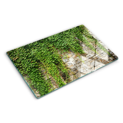 Snijplanken van glas Groene muur met mos