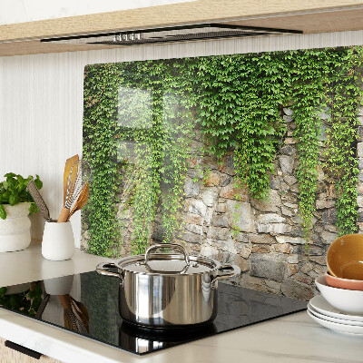 Snijplanken van glas Groene muur met mos