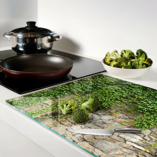 Snijplanken van glas Groene muur met mos