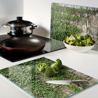 Snijplanken van glas Groene muur met mos