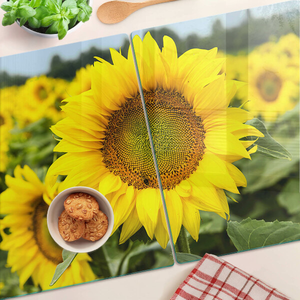 Glazen snijplanken Zonnebloemen tegen een achtergrond van groen