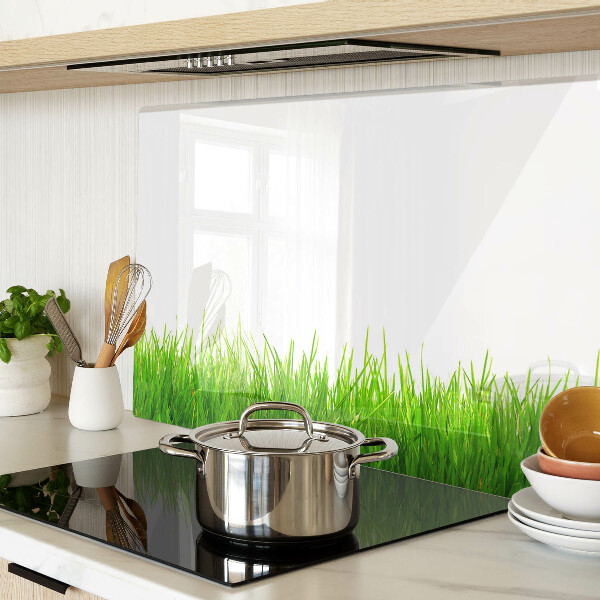 Snijplanken van glas Groen gras