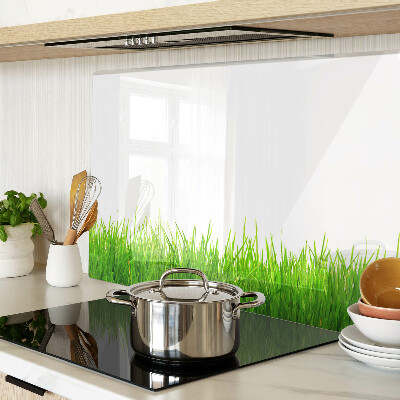 Snijplanken van glas Groen gras