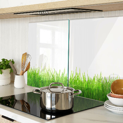 Snijplanken van glas Groen gras