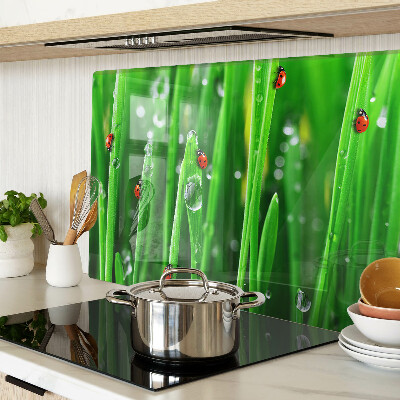 Glazen snijplanken Waterdruppels op gras met lieveheersbeestjes