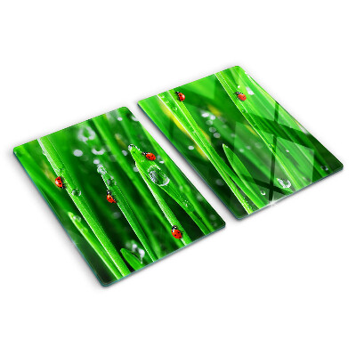 Glazen snijplanken Waterdruppels op gras met lieveheersbeestjes