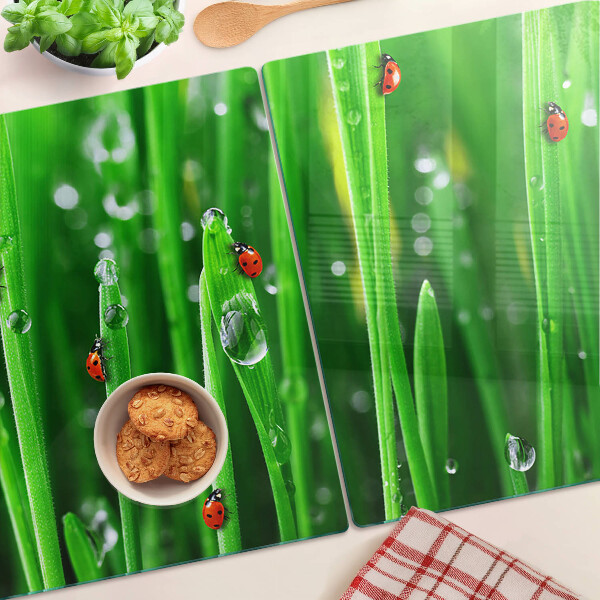 Glazen snijplanken Waterdruppels op gras met lieveheersbeestjes