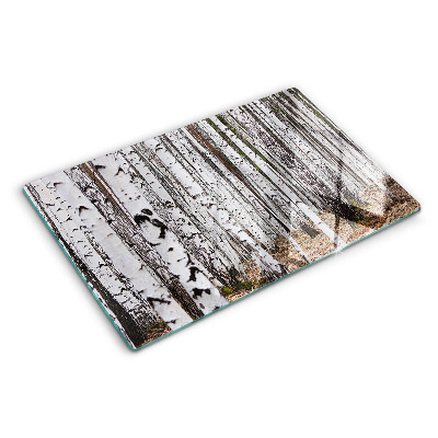 Snijplanken glas Witte stammen van berkenbomen