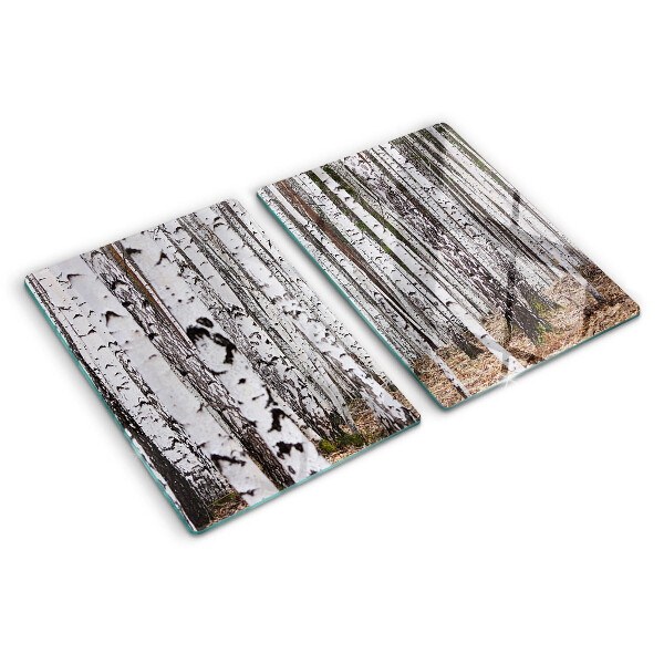 Snijplanken glas Witte stammen van berkenbomen