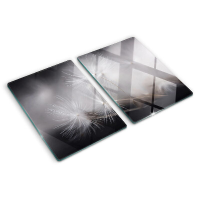 Glazen snijplanken Pluizige paardenbloemen tegen de achtergrond van het raam.