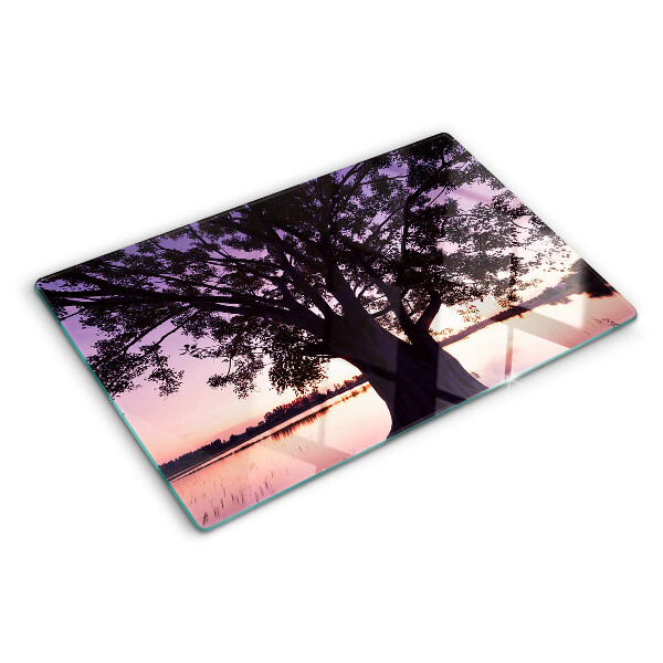 Snijplanken glas Boom bij zonsondergang