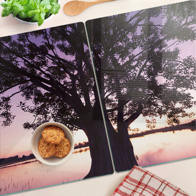 Snijplanken glas Boom bij zonsondergang