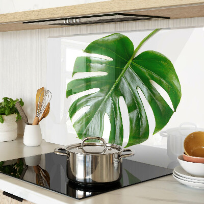 Snijplanken van glas Monstera-bladeren