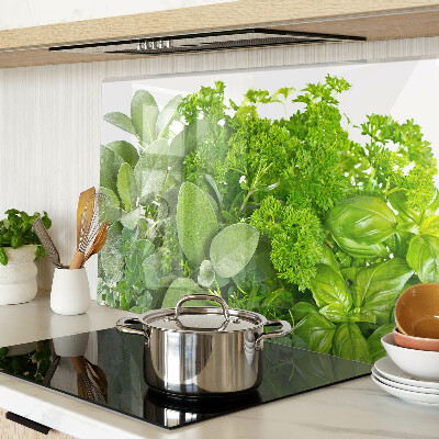 Snijplanken van glas Groene kruiden en bladeren