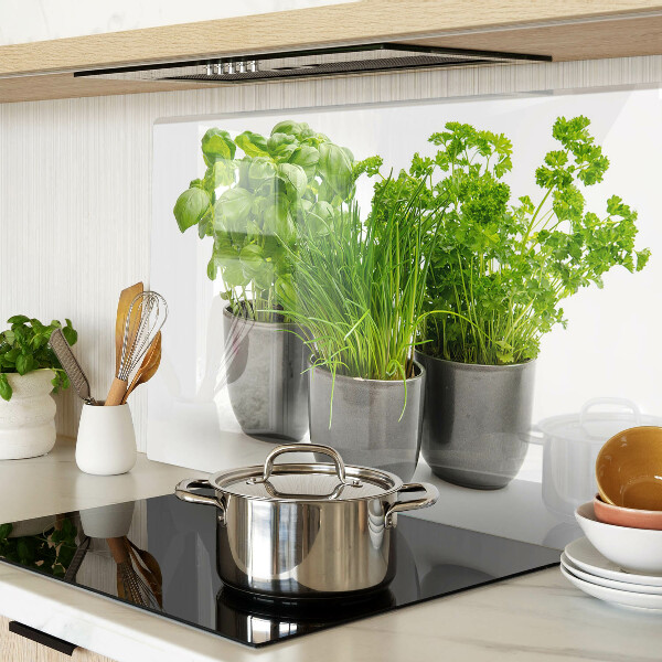 Snijplanken van glas Kruiden in potten