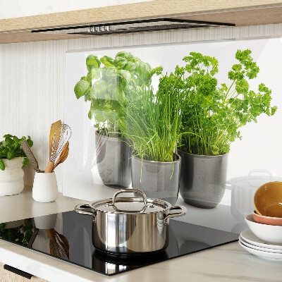 Snijplanken van glas Kruiden in potten