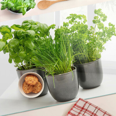 Snijplanken van glas Kruiden in potten