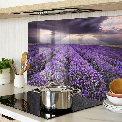 Snijplanken van glas Lavendelveld met zonsondergang