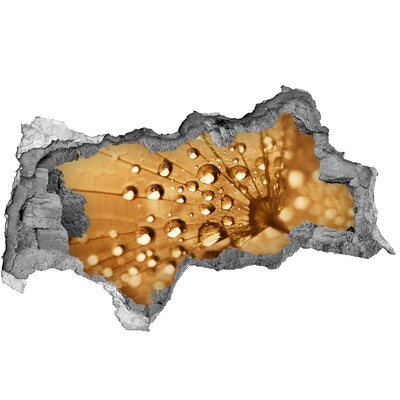 Zelfklevende 3D wandsticker illusie Druppels op een blad