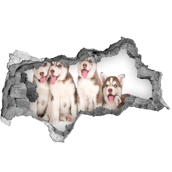 Wandsticker 3D doorkijk Huskypuppy's achter een gat in de muur