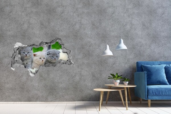 Zelfklevende 3D wandsticker illusie Kittens in een gat in de muur