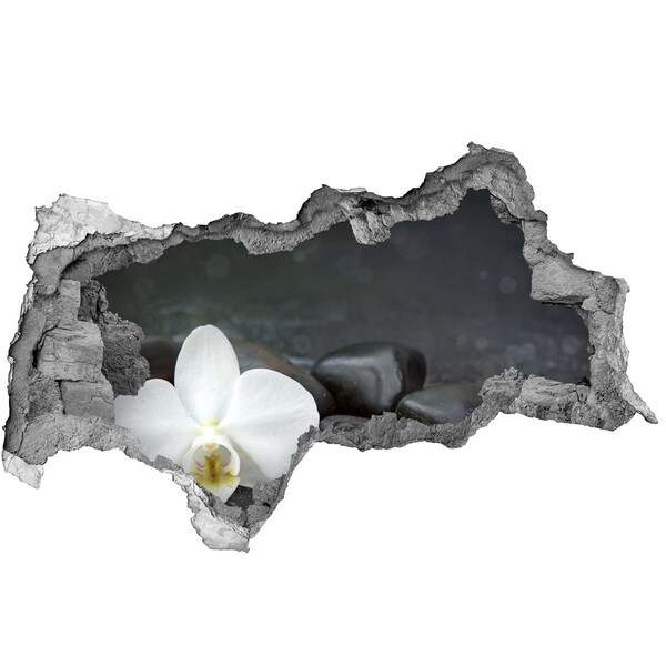 3D muursticker gescheurde muur Bloemen en stenen tegen een achtergrond van water.