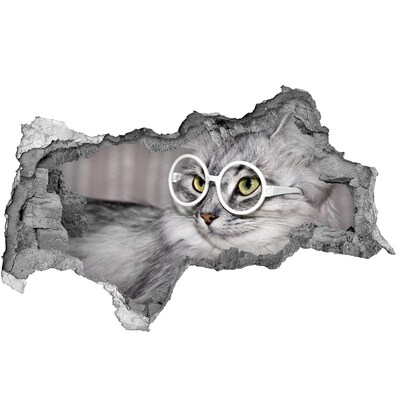 Wandsticker 3D doorkijk Kat met bril door een gat in de muur