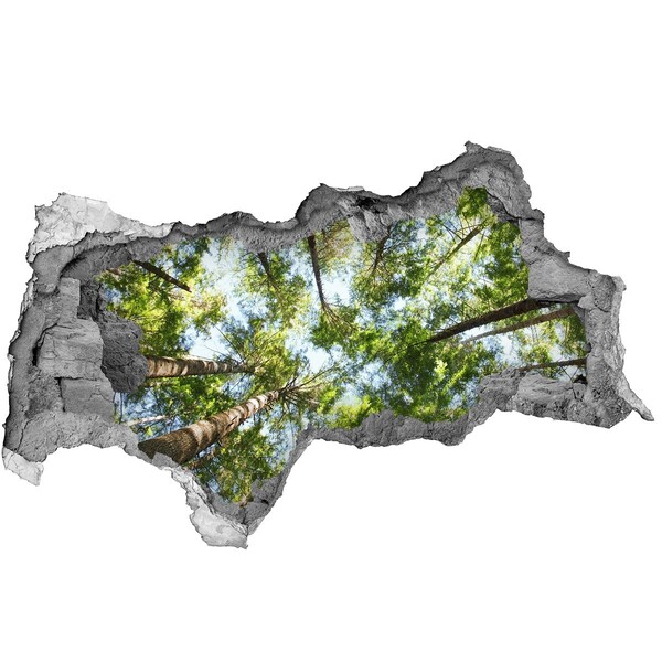 3D sticker gat in stenen muur Uitzicht op het bos met een blauwe lucht.