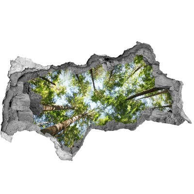 3D sticker gat in stenen muur Uitzicht op het bos met een blauwe lucht.