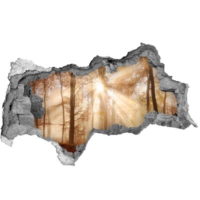 Zelfklevende 3D wandsticker illusie Bospas van de Zon