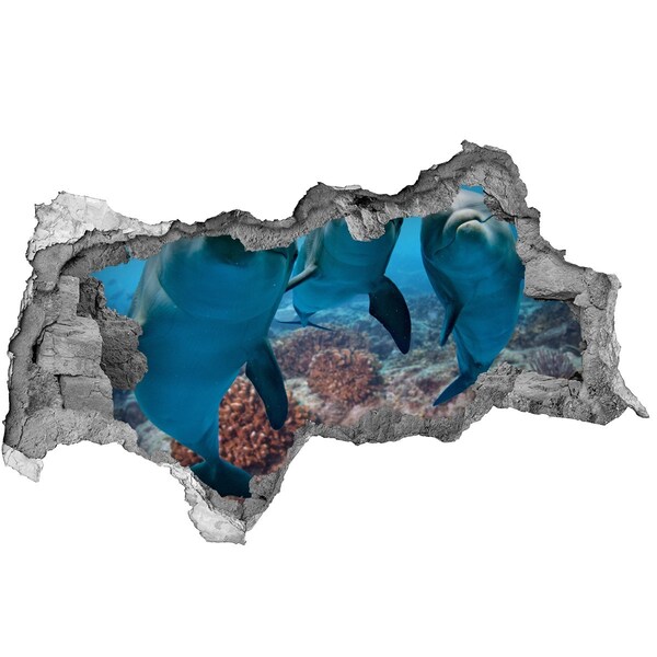 3D muursticker gescheurde muur Dolfijnen in een koraalrif