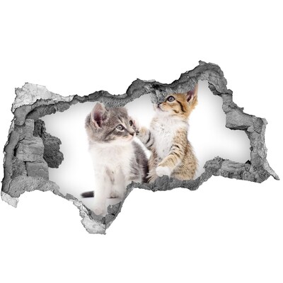 Zelfklevende 3D wandsticker illusie De kattenwereld achter de muur