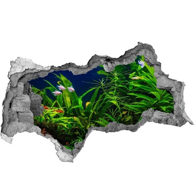 Wandsticker 3D doorkijk De onderwaterwereld in het aquarium