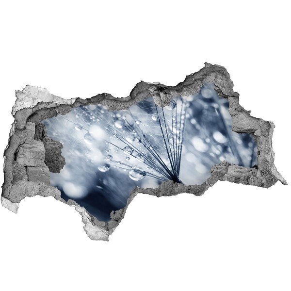 Wandsticker 3D doorkijk Dauwdruppels op een paardenbloem