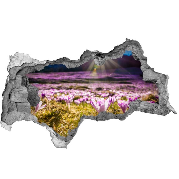 Wandsticker 3D doorkijk Een bloemenveld in de zon.