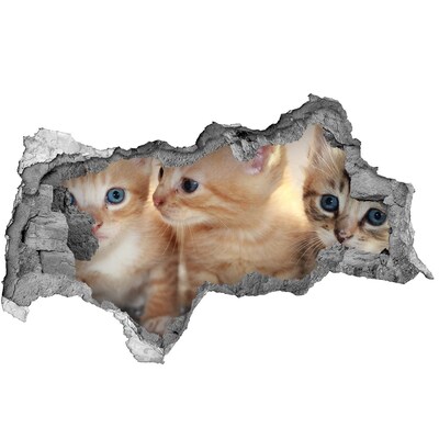 Zelfklevende 3D wandsticker illusie Kittens in een gat in de muur