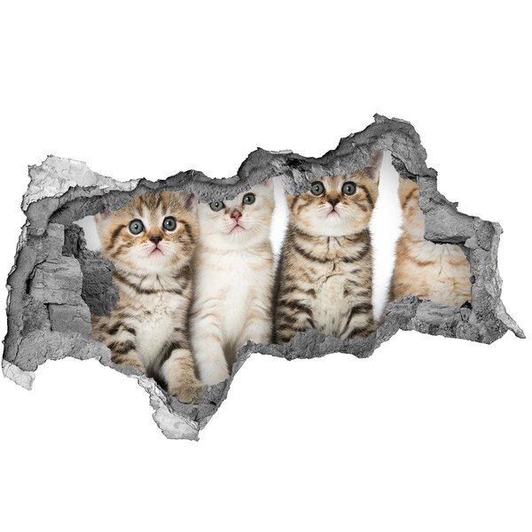 3D muursticker gescheurde muur Het kattentrio achter het gat in de muur