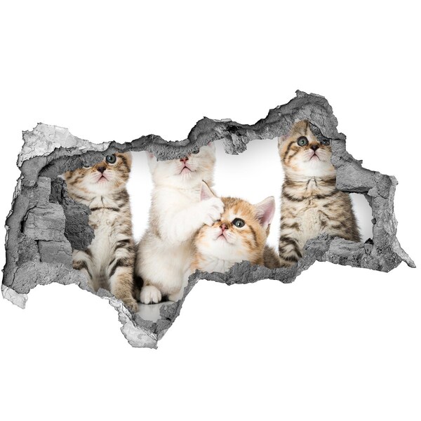 3D sticker gat in stenen muur Kittens in een gat in de muur