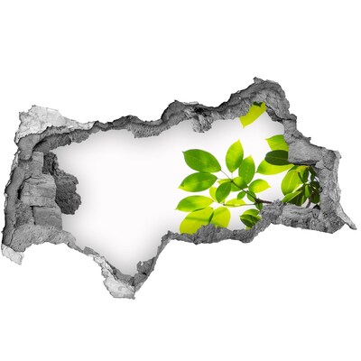 Wandsticker 3D doorkijk Een groene oase achter de muur