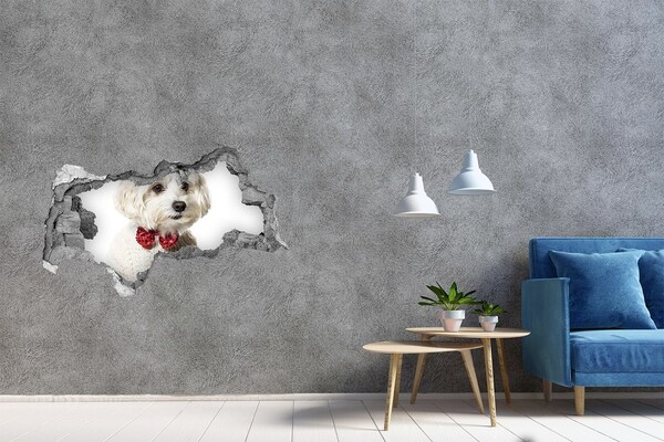Zelfklevende 3D wandsticker illusie Hond in een trui door een gat in de muur
